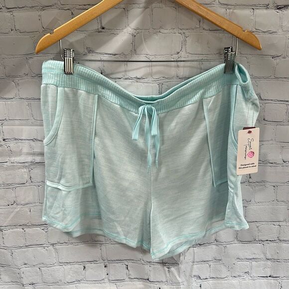 Secret Treasures Pants - Brand New Secret Treasures Blue Shorts Woman’s size XL